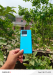 Iqoo Neo 7 ( Only Phone)